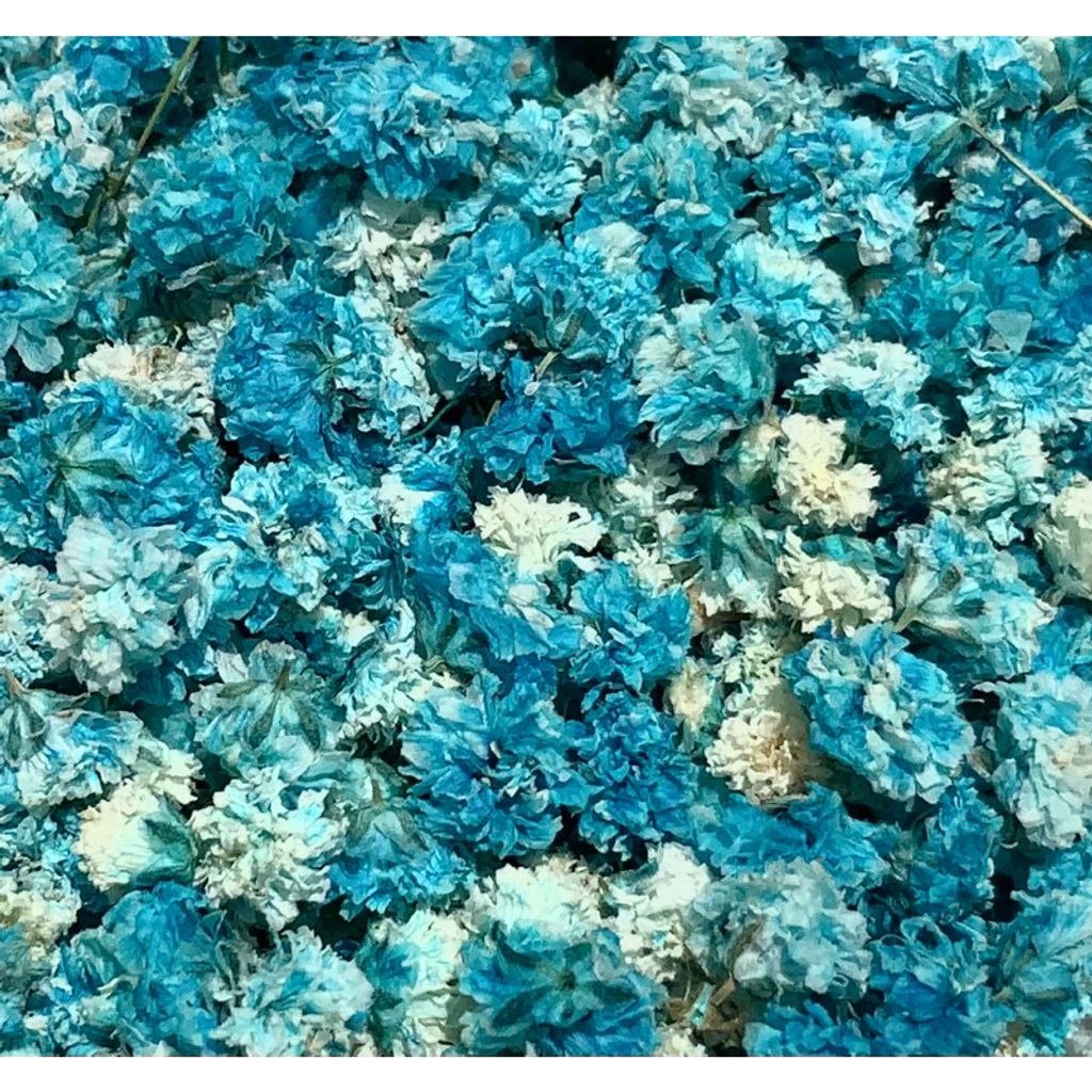 tw-11134207-7r98u-lvvfit2bokyuc7