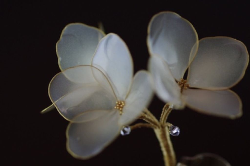 a5d5d61ba4b5fdbb197d45afe0d95173