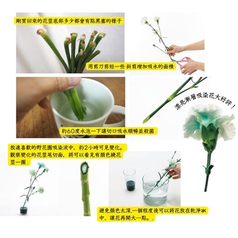 sg-11134201-23010-84zkj6splwmv2c