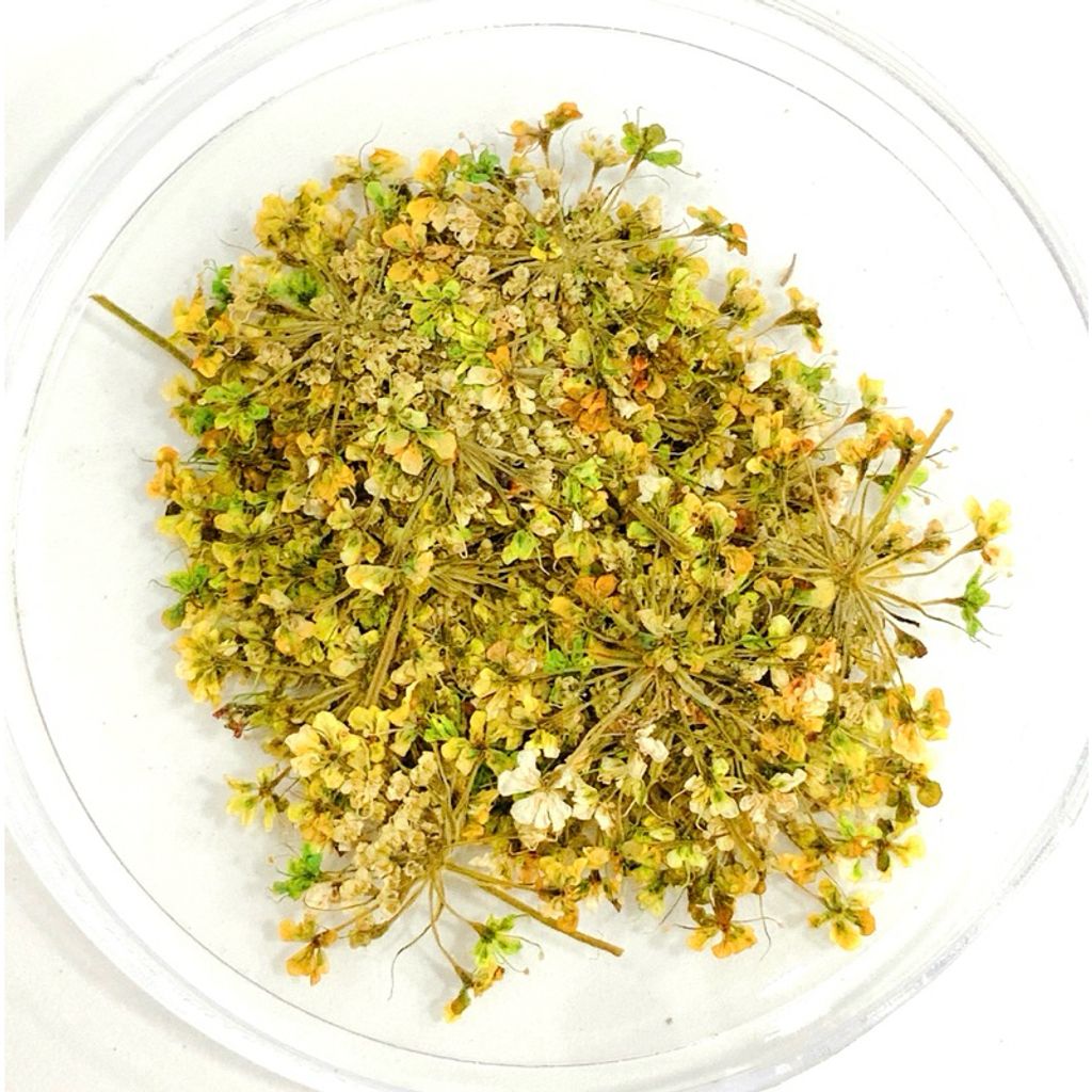 tw-11134207-7r98v-lv1f6che9wrt82