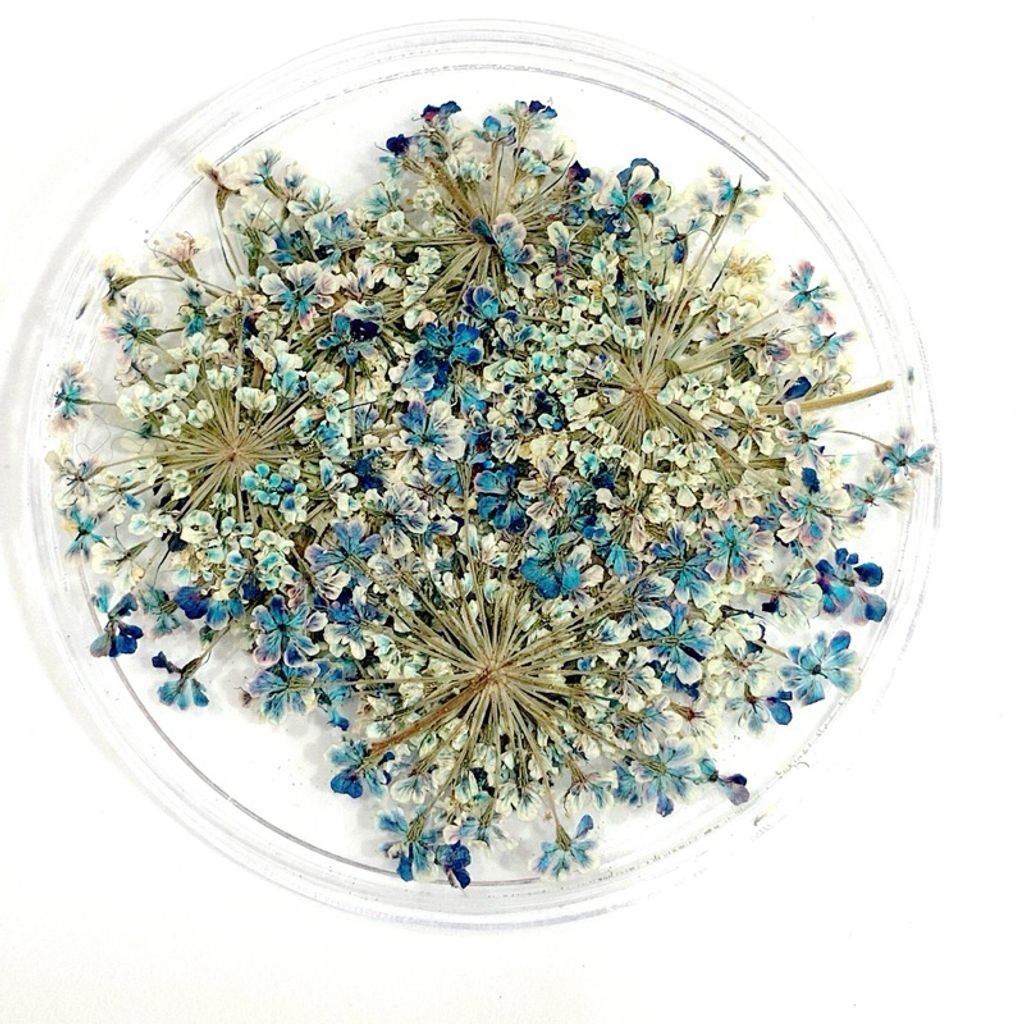 tw-11134207-7r98t-lv1f6chebbc9c4