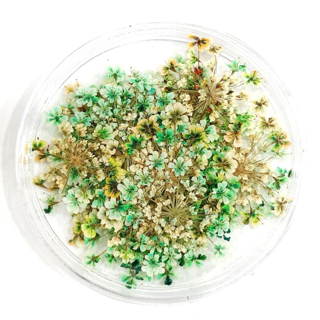 tw-11134207-7r98u-lv1f6lrr5hrdf3