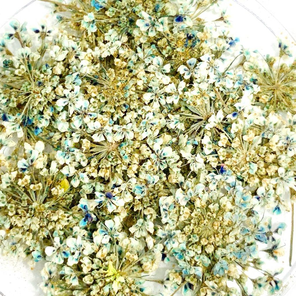 tw-11134207-7r98x-lv1f74zgkem0fd