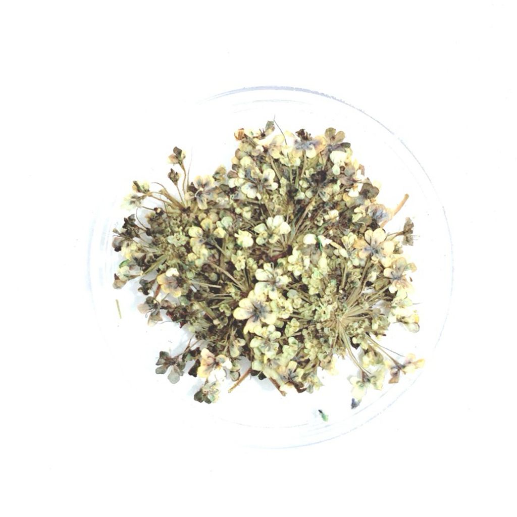 tw-11134207-7r98r-lv1f74zglt6g63