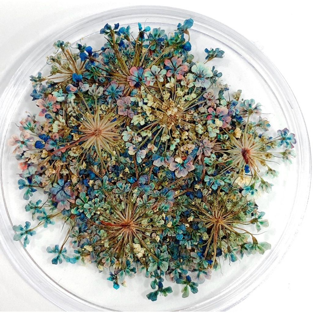 tw-11134207-7r98p-lv1f8g5jjga177