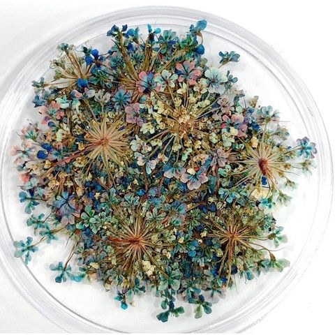 tw-11134207-7r98p-lv1f8g5jjga177