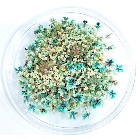 tw-11134207-7r98w-lv1f8g6di8fde1