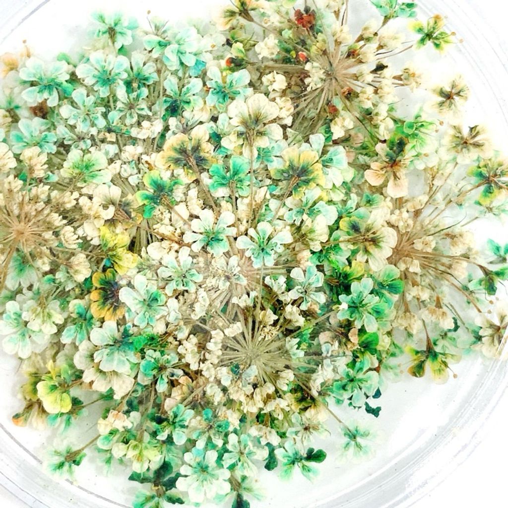 tw-11134207-7r98o-lv1f8g5jkuuhed