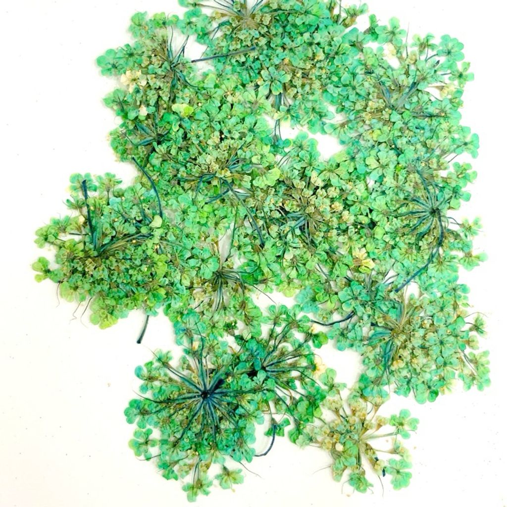 tw-11134207-7r990-lv1f8g6djmzte5