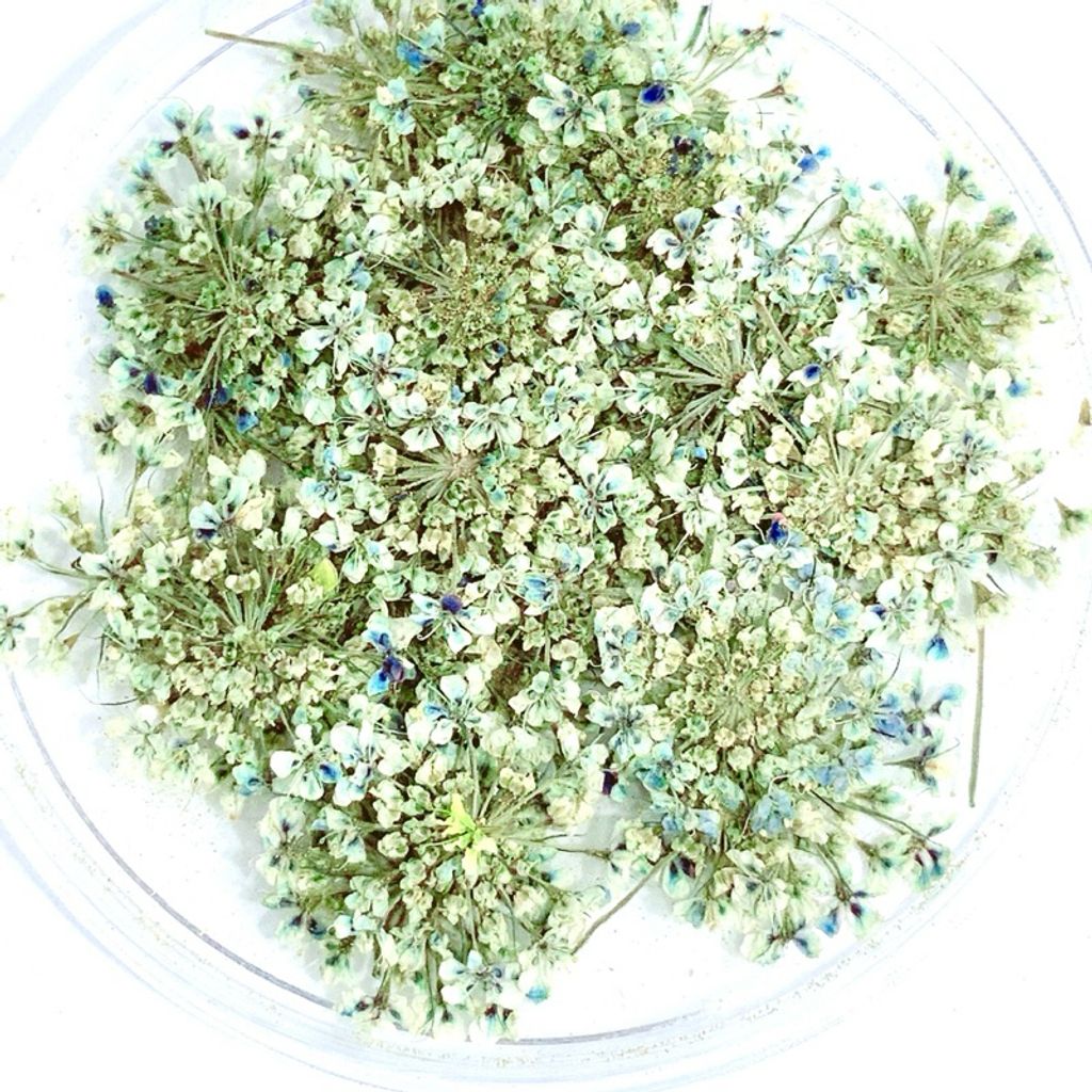 tw-11134207-7r98y-lv1f8g7hi12wc5