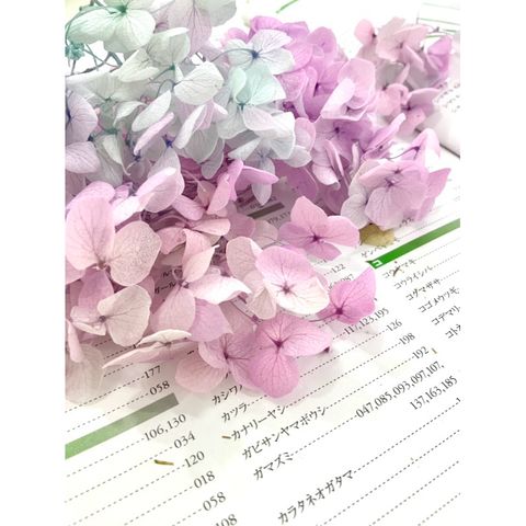 tw-11134207-7r98x-lxk05c2okjzk03