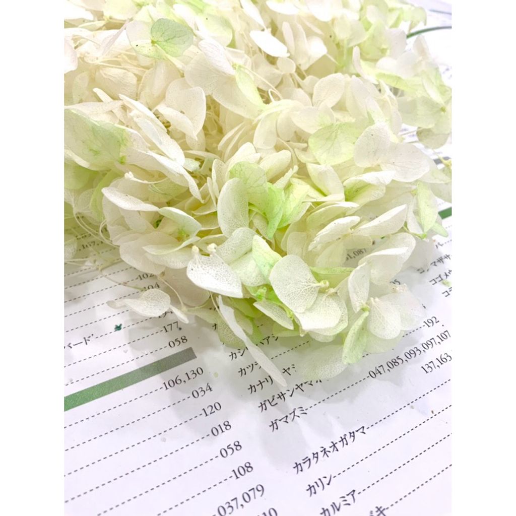 tw-11134207-7r98y-lxk0mjl933n4f6