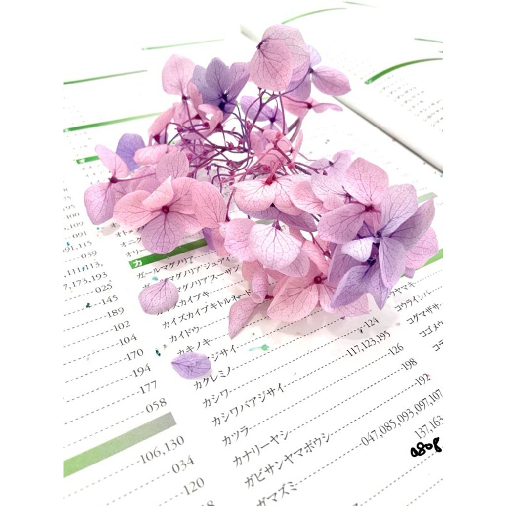 tw-11134207-7r98u-lxk0mjmn12k038