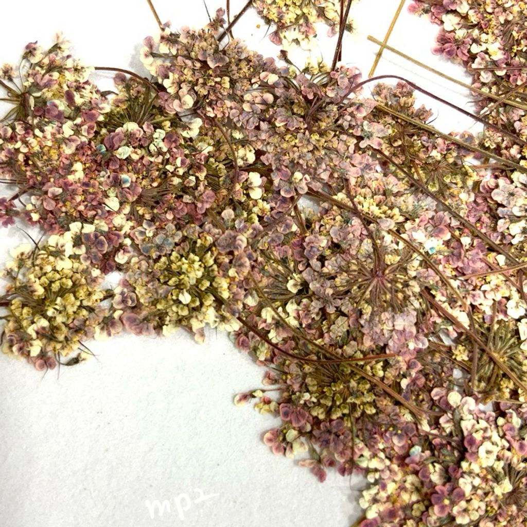 tw-11134207-7r98z-luw9kkq10nw60f