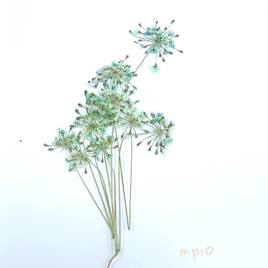 tw-11134207-7r98q-luw9v0q4pek62f