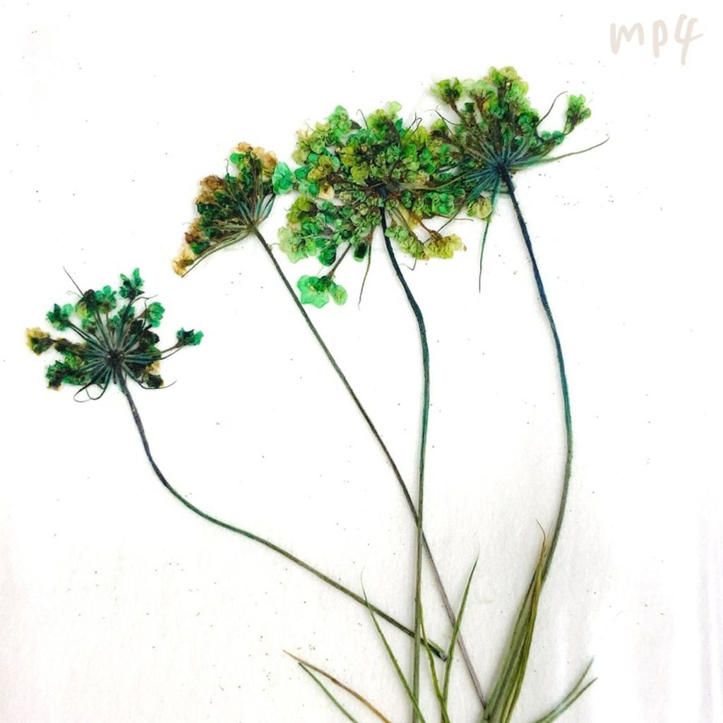 tw-11134207-7r991-luw9w79ghwi37e