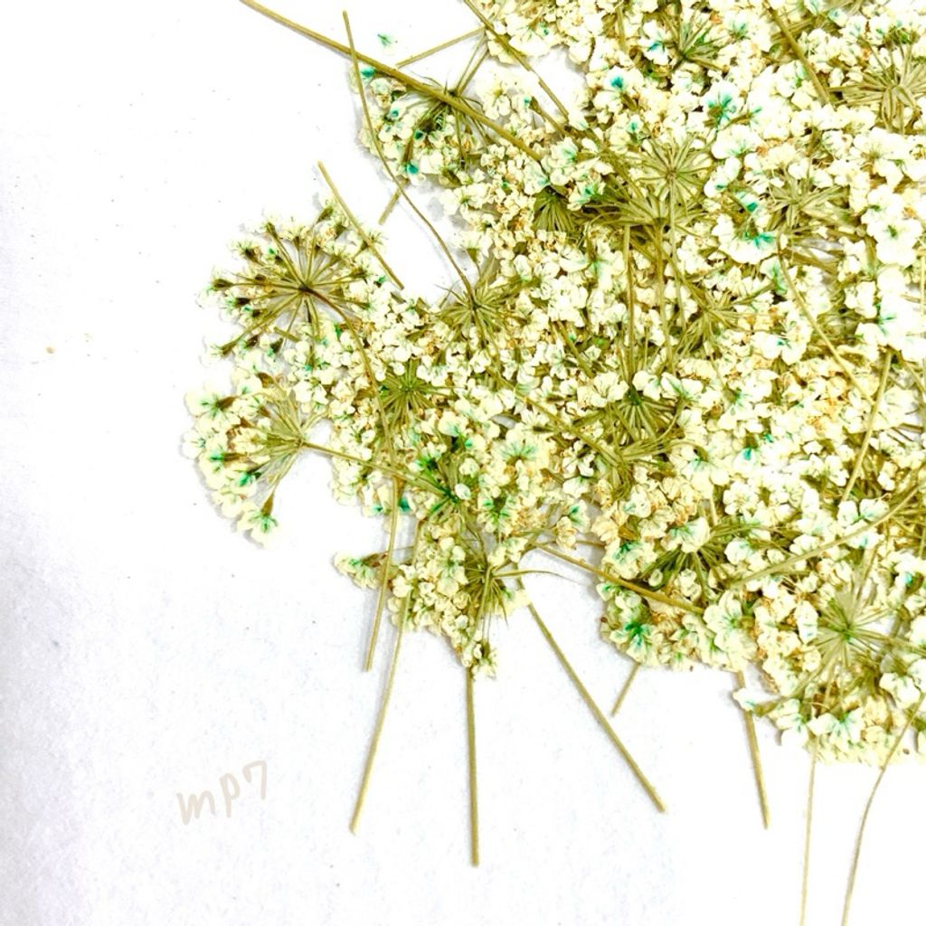 tw-11134207-7r991-luw9ycp5522z49