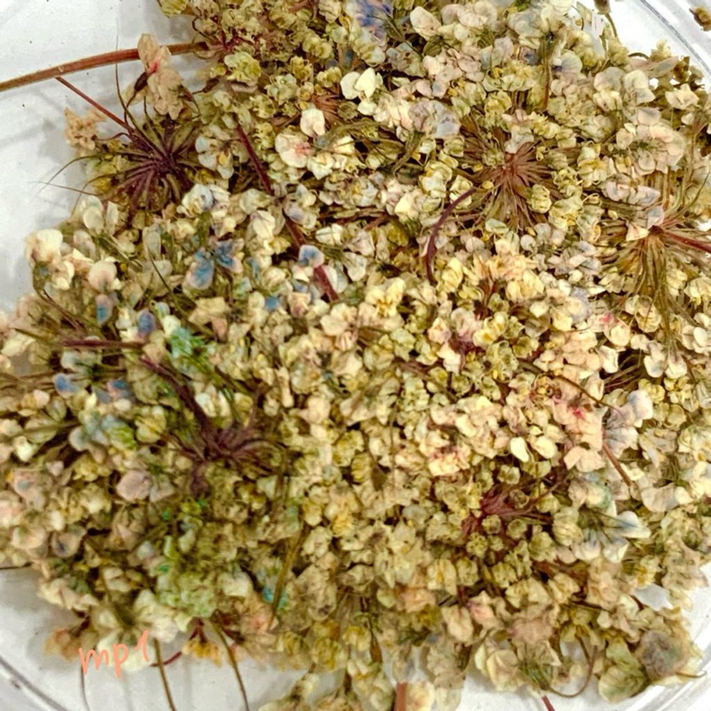 tw-11134207-7r98z-luwa0ub81hhn73