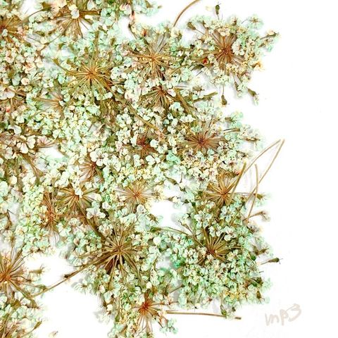 tw-11134207-7r98v-luw9kkpqy9di22