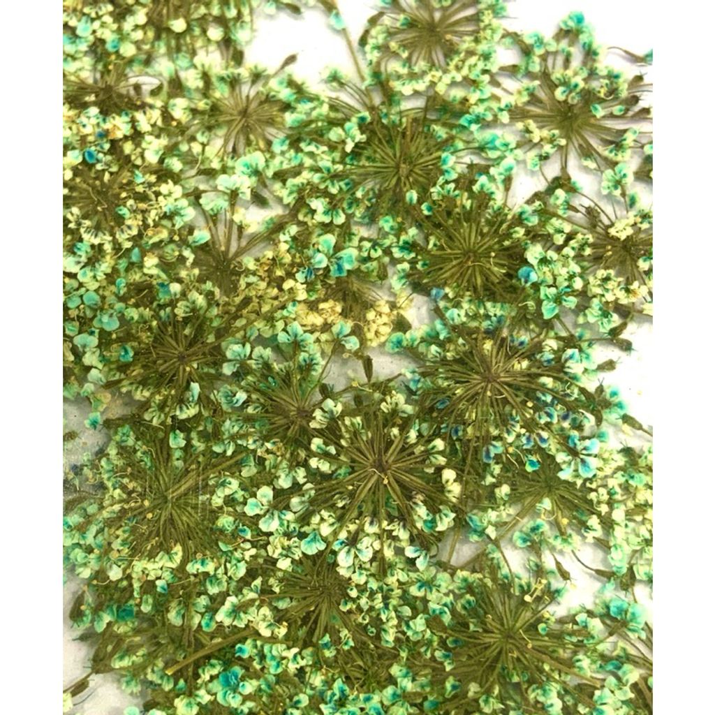 tw-11134207-7r98x-luw9kkq0z9bq25