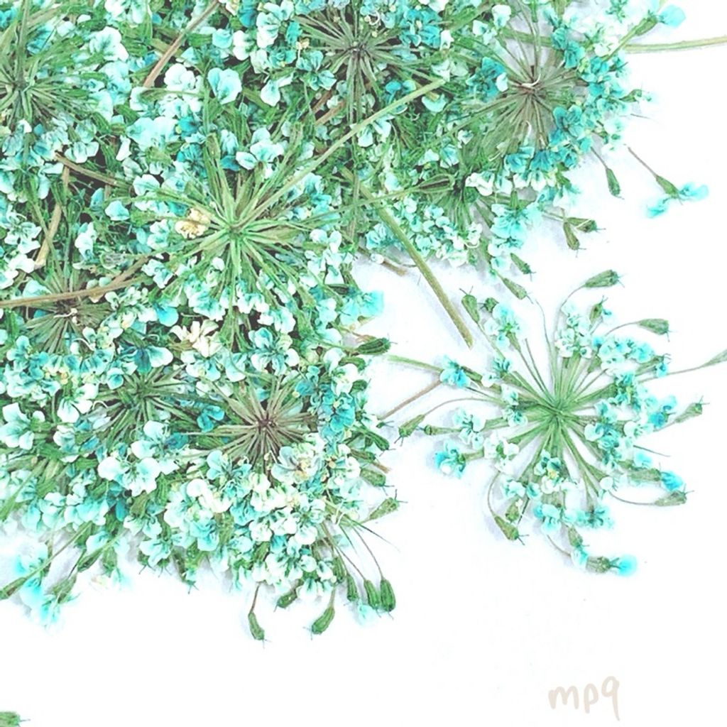 tw-11134207-7r990-luw9kkweoiq3b1