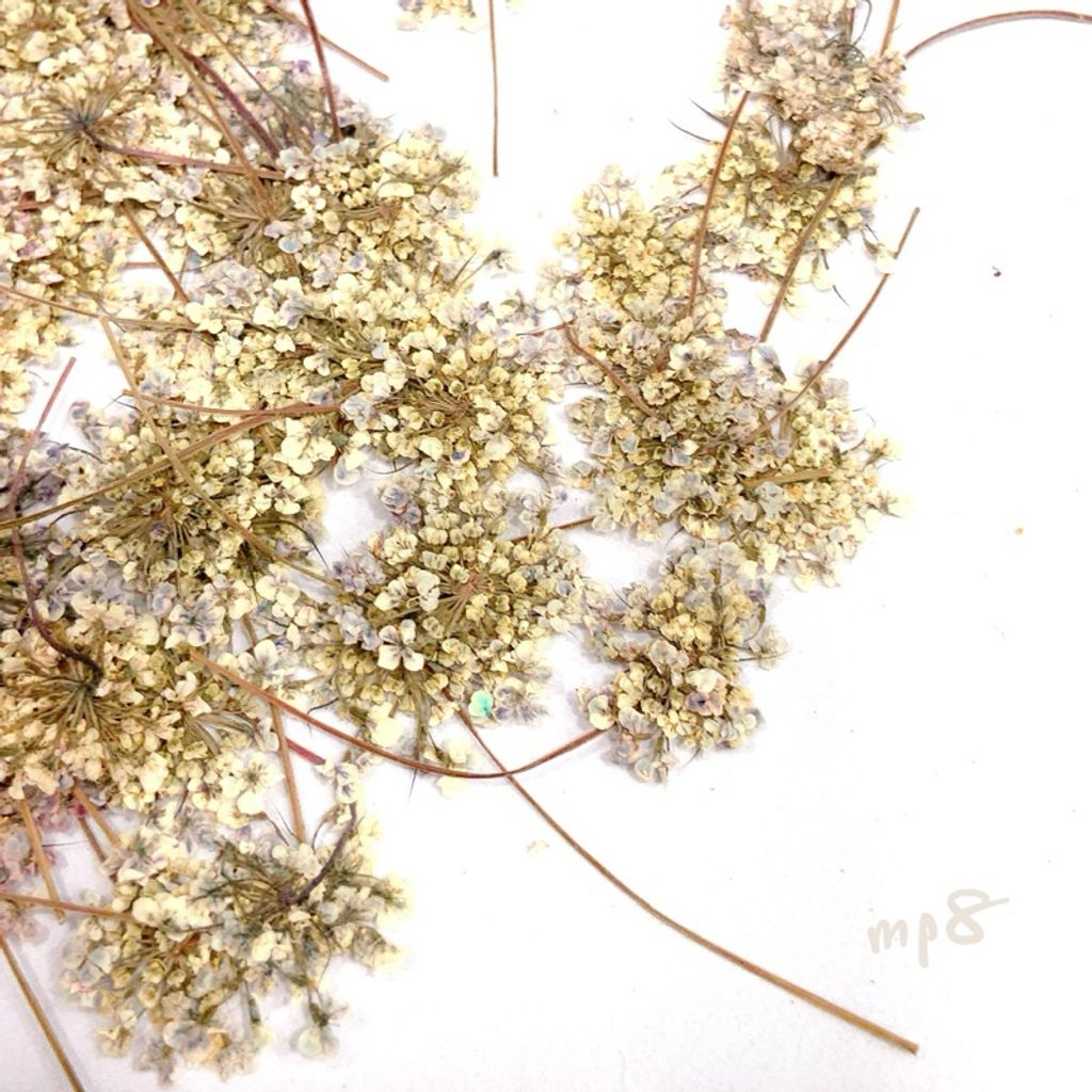 tw-11134207-7r992-luw9kkweoik609