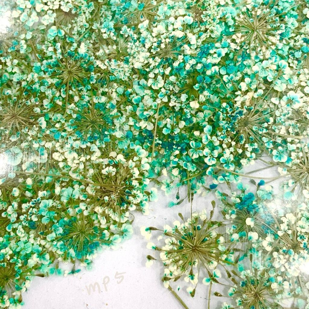 tw-11134207-7r98x-luw9kkpqznxyac