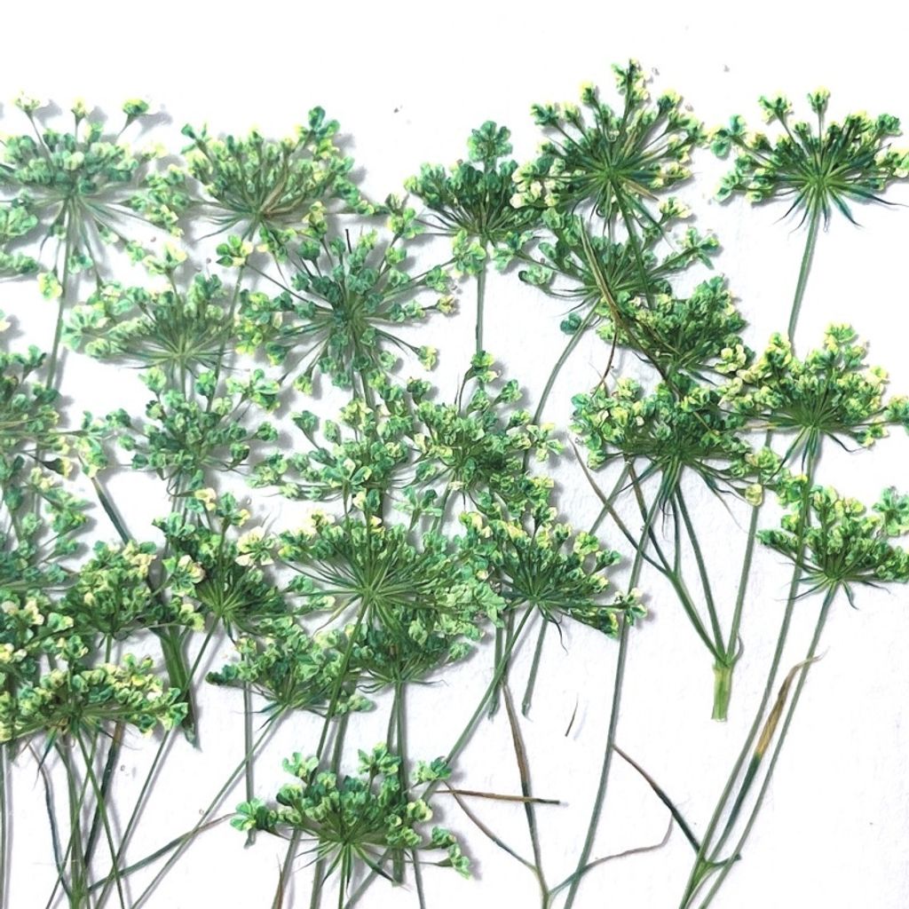 tw-11134201-23020-cgwkzmz1f1nv33