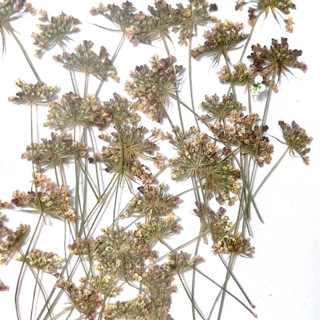 tw-11134201-23020-yjzxu4e2f1nvea