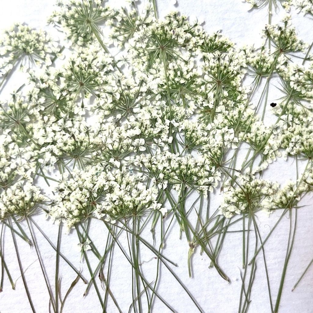 tw-11134201-23020-ek3siqo5f1nvaf