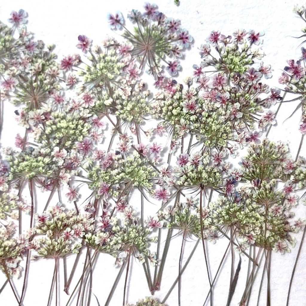 tw-11134201-23020-c1jcc1awf1nva7