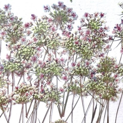 tw-11134201-23020-c1jcc1awf1nva7