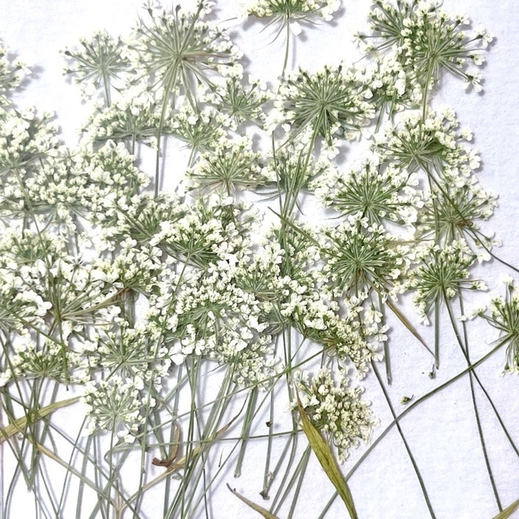 tw-11134201-23020-5dxda3awf1nv27