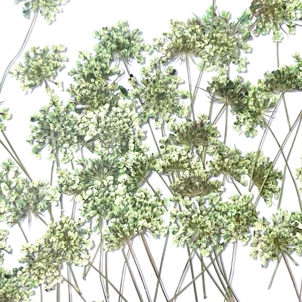 tw-11134201-23020-kq0j3uawf1nv27