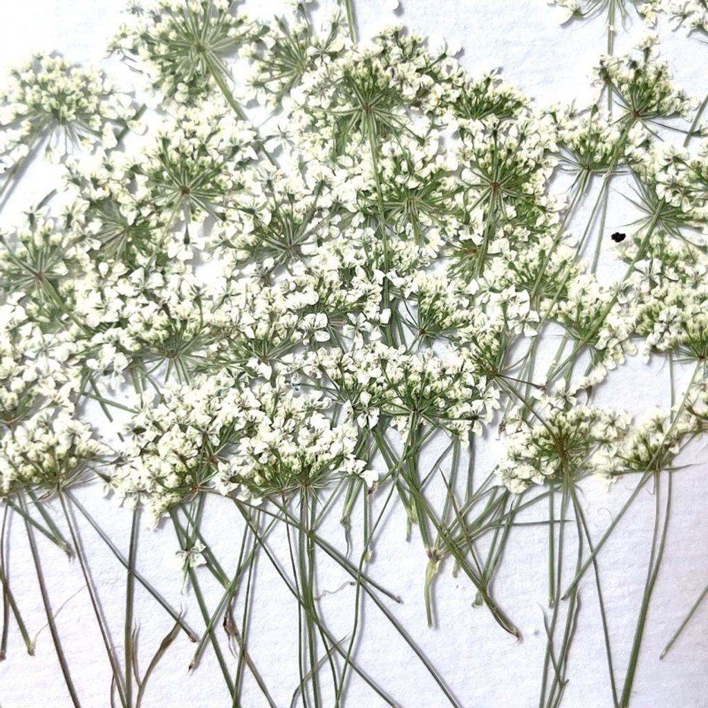 tw-11134201-23020-alo8n4awf1nvbe