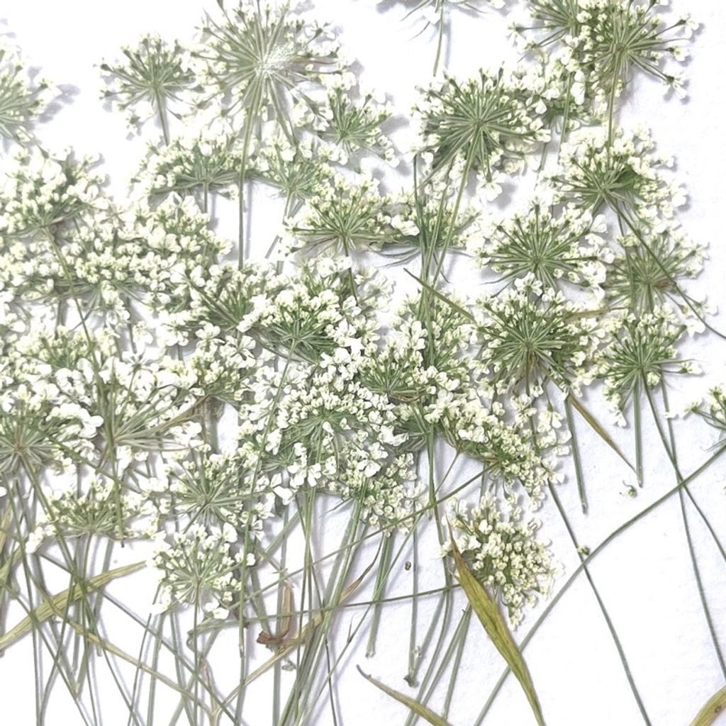 tw-11134201-23020-994aa3awf1nv8b