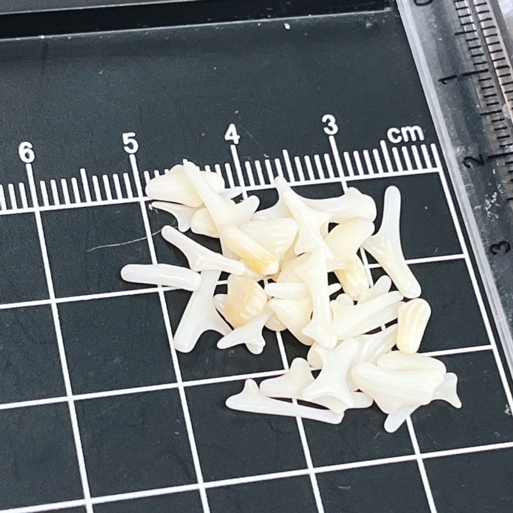 sg-11134201-23020-3osd2h8iadnvc4