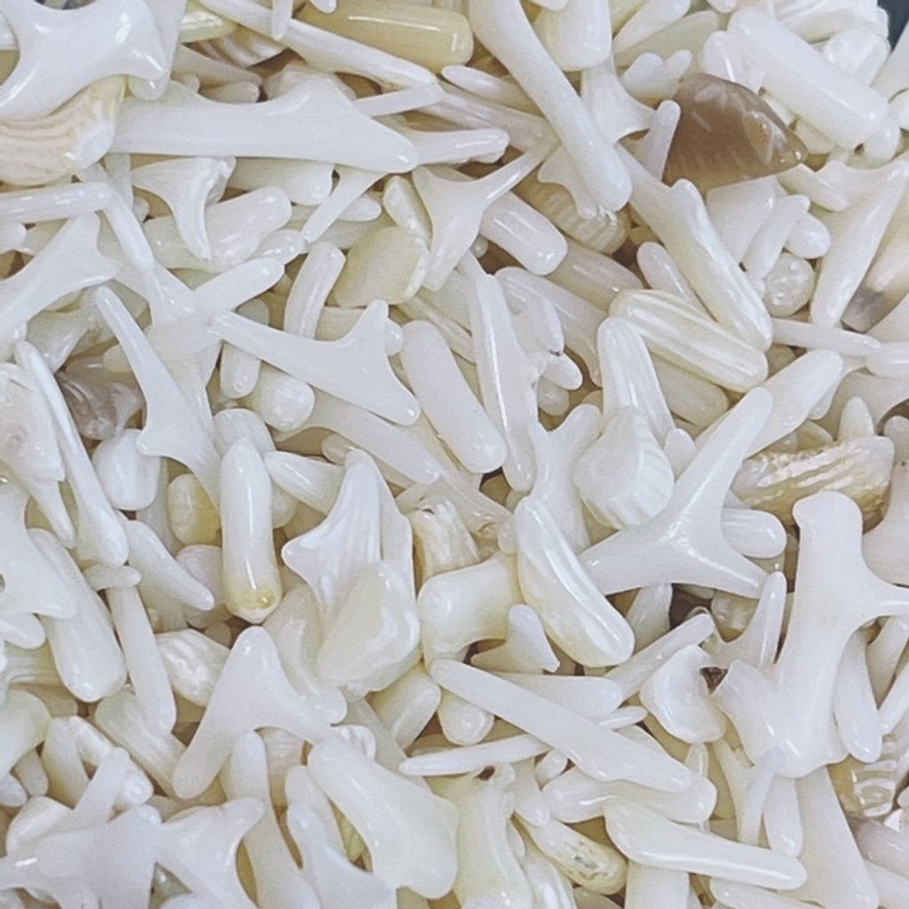 sg-11134201-23020-qq4lbd8iadnv76