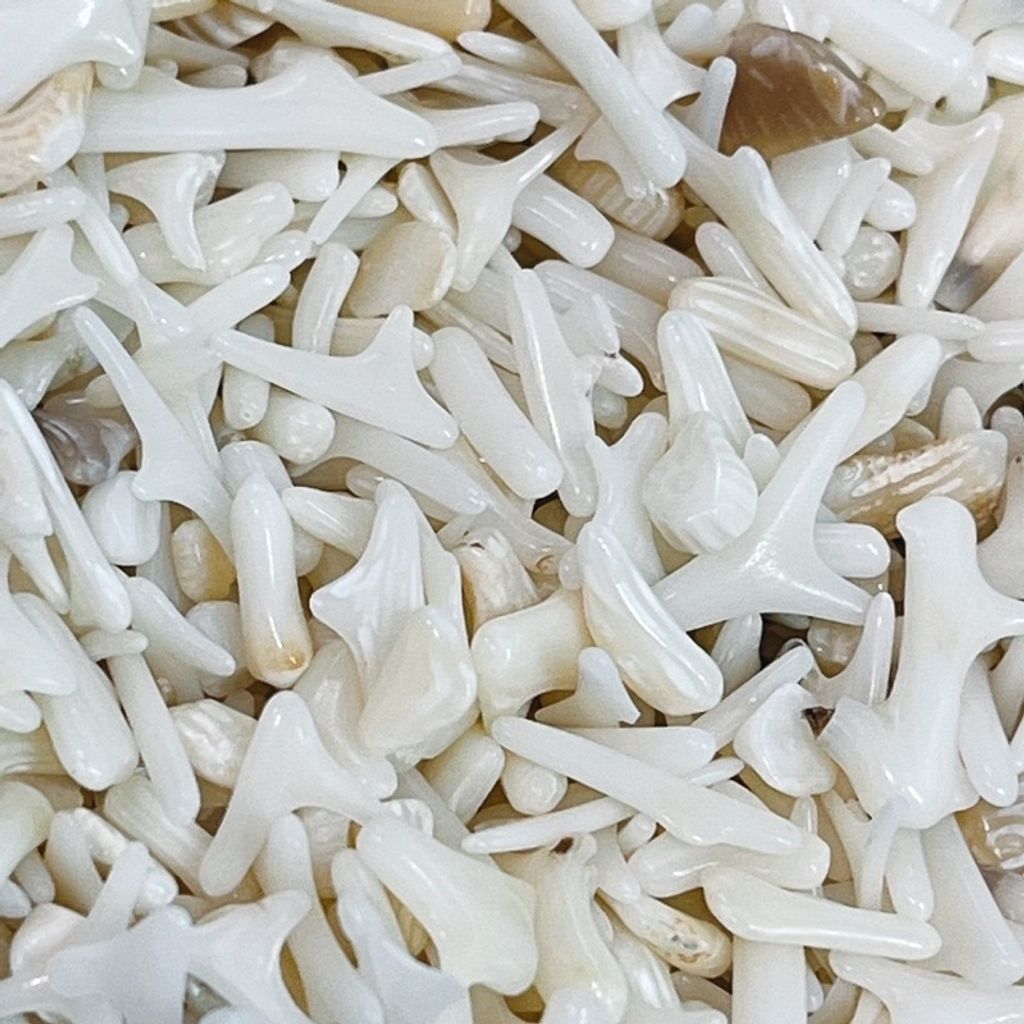 sg-11134201-23020-cqkd6i8iadnva9