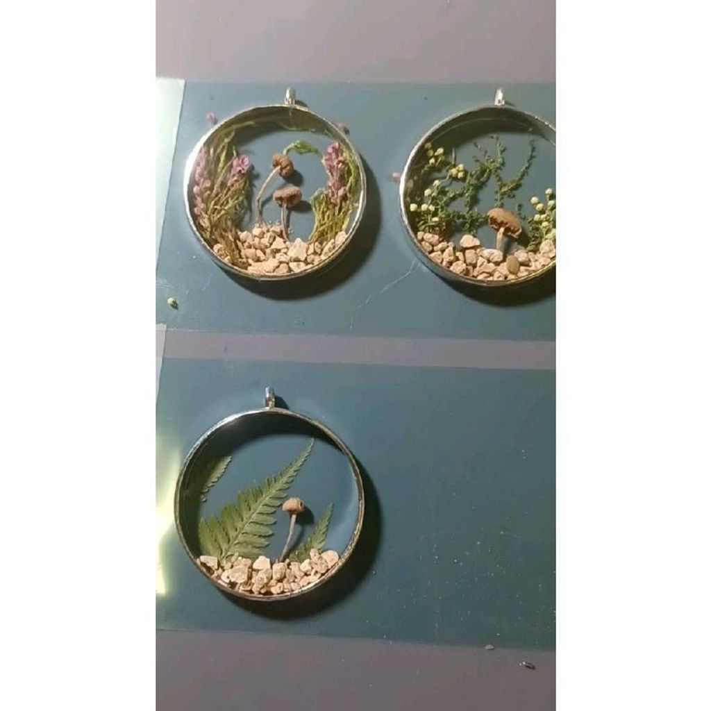 tw-11134207-7r991-lx0ypveruq7ade