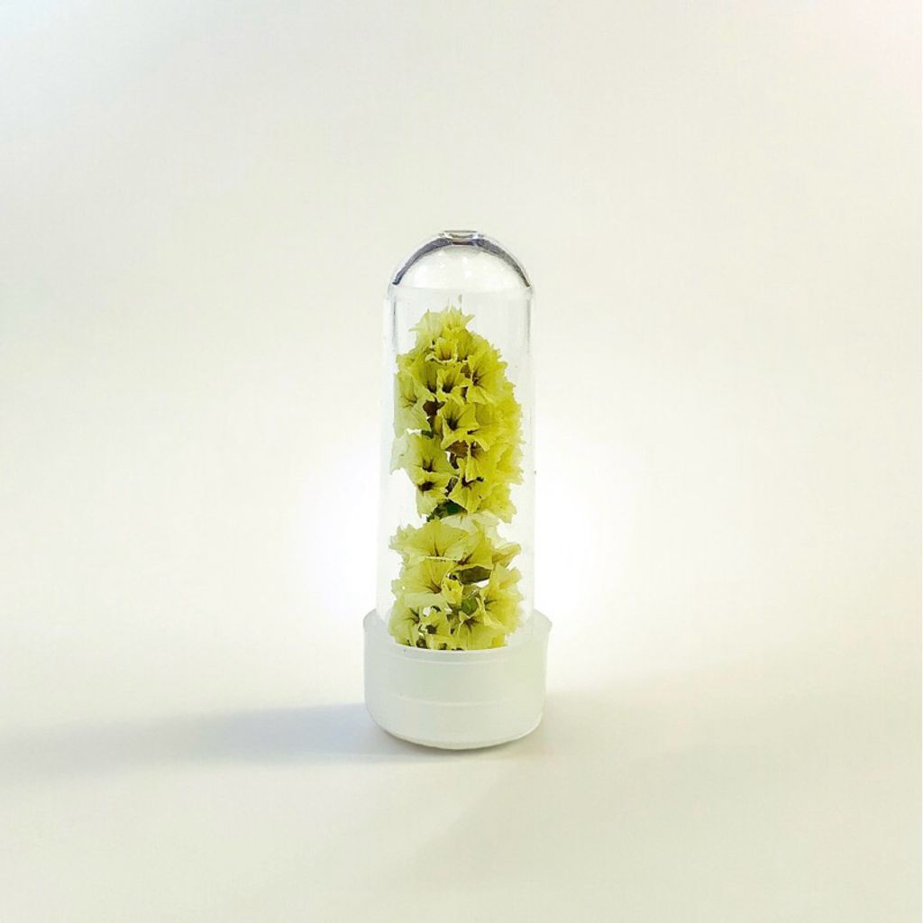 tw-11134207-7r98s-lvsltnbfm95j76