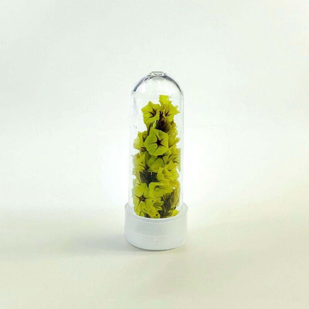 tw-11134207-7r98y-lvsluvucdryvad