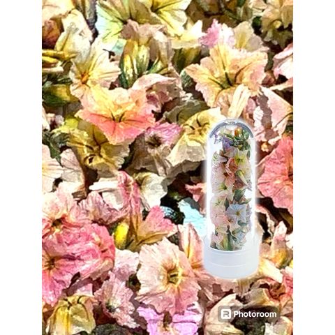 tw-11134207-7r98u-lvsjbhon64ev60