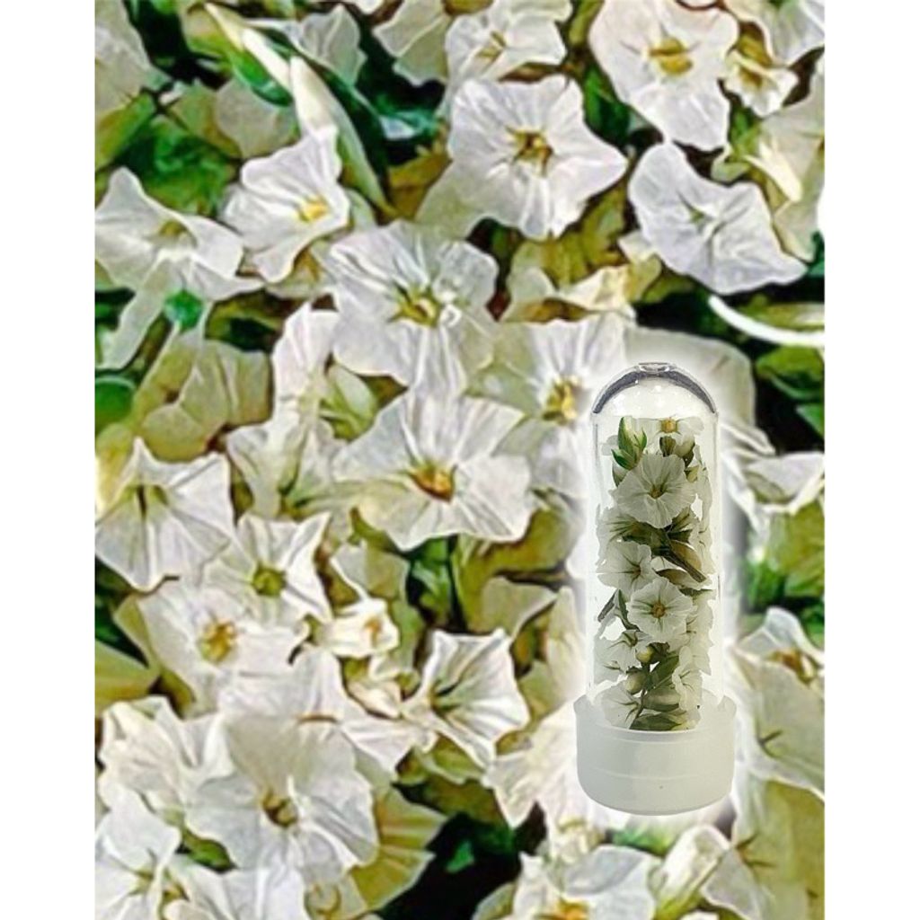 tw-11134207-7r98z-lvsjbhox74d3ec