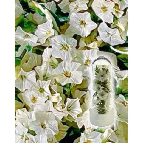 tw-11134207-7r98z-lvsjbhox74d3ec