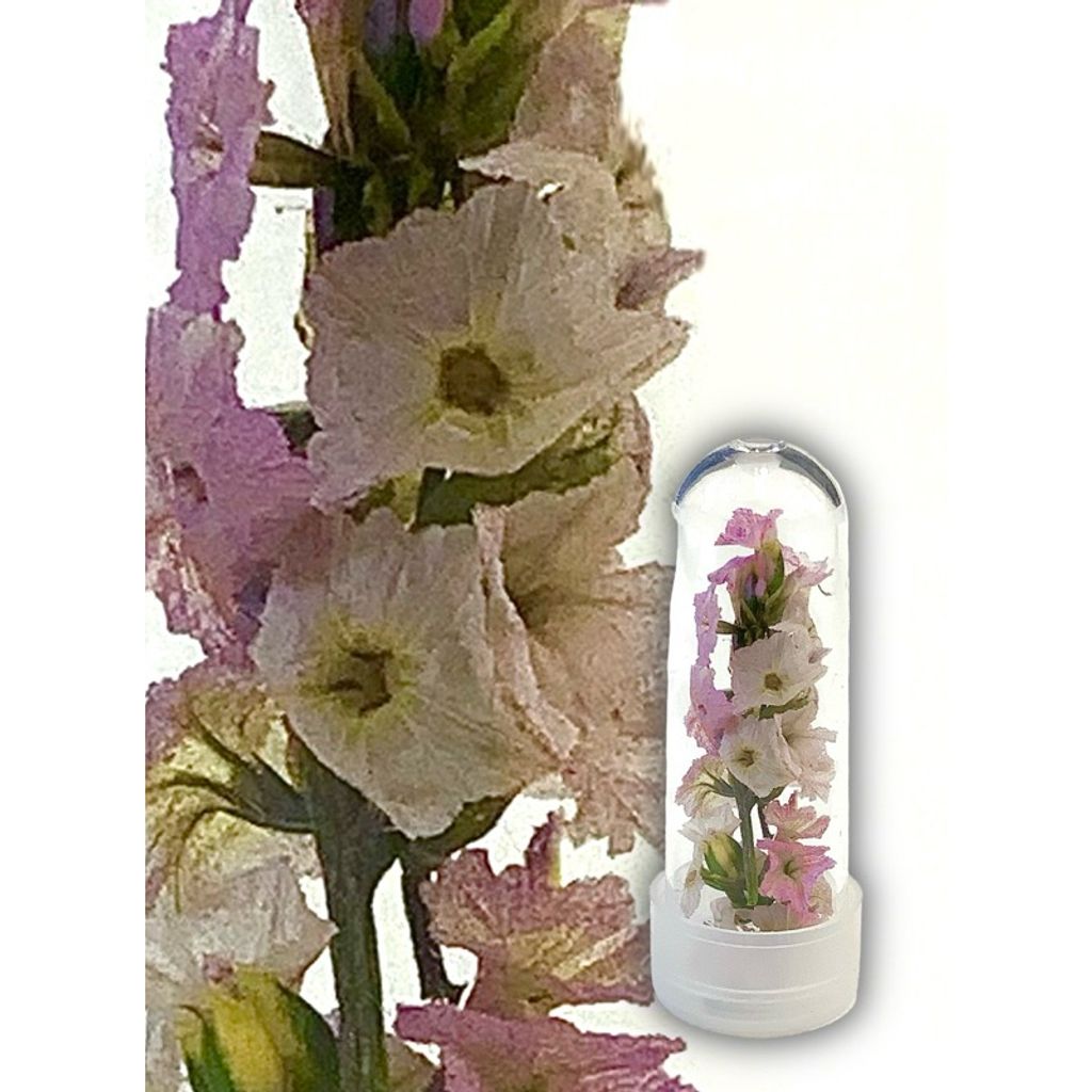 tw-11134207-7r98s-lvsjbhox5pea3a