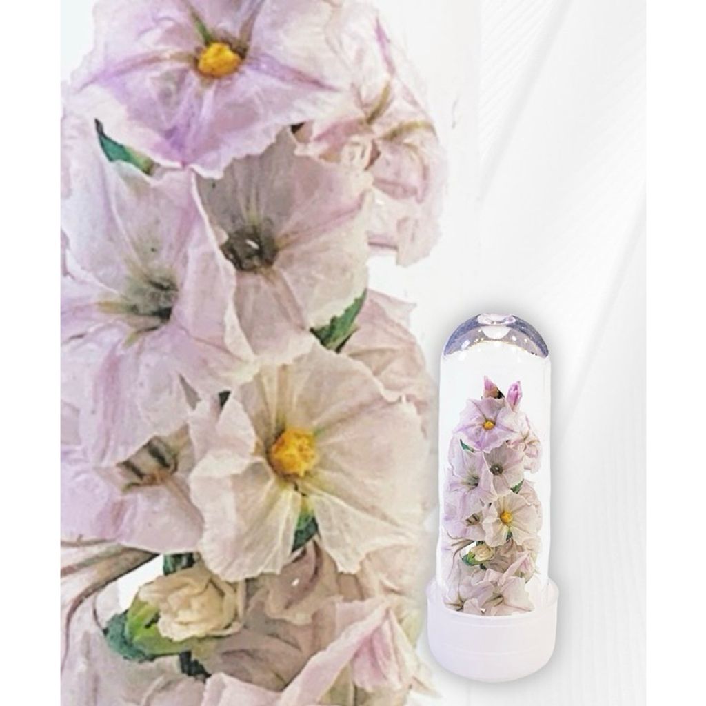 tw-11134207-7r98z-lvsljdjjk4if2d