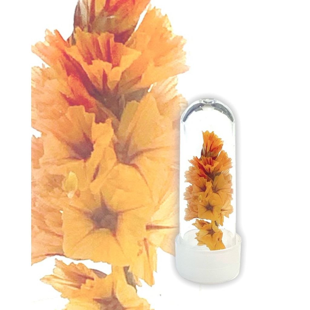 tw-11134207-7r98u-lvsljdjj4o9jf6