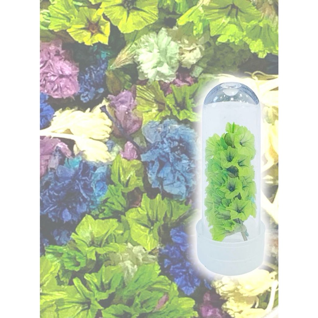 tw-11134207-7r98p-lvsljdjjzkrb08