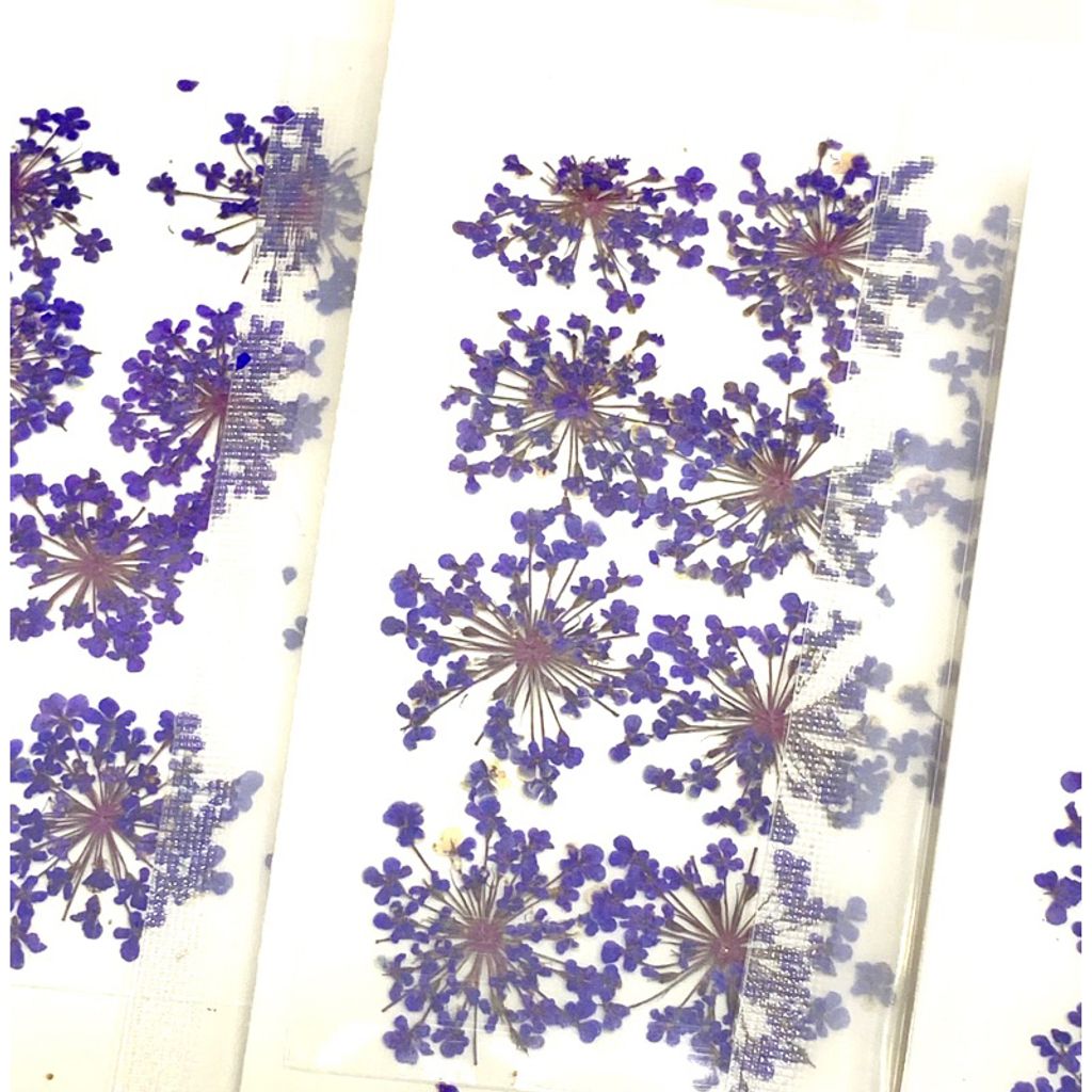 tw-11134207-7r98t-ls4j2di31scya3